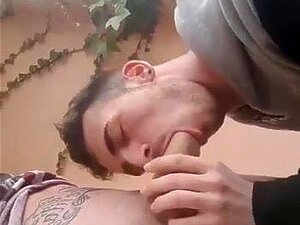 Regardez ce couple mignon se satisfaire mutuellement en plein air avec