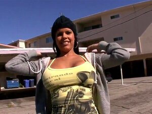 Diamond Kitty parvient à ramener un étalon en chaleur à la maison,