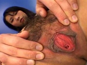 Une collection de chattes grandes ouvertes