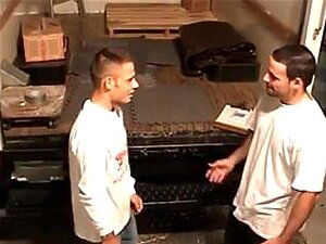 Parking serré percé de manière brutale par un étalon, Certains