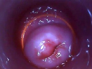 Une nana tchèque épicée écarte sa chatte douce vers le bizarre. Le