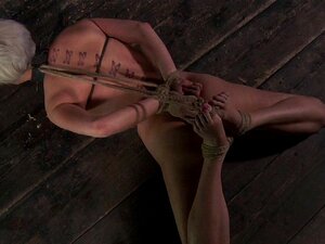 Collage lubrique pour une douce nana. La beauté reçoit un collier au