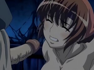 Samurai Hormone l'animation 01