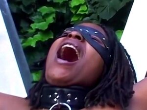 Véritable fête de sexe en groupe hardcore Afro S&M en plein air