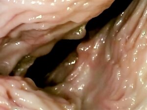 À quoi ressemble le sexe de l'intérieur ! Gros plan sur le vagin