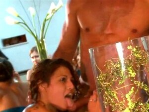 Spectacle de baise animé et indompté