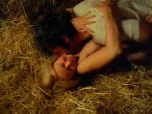Compilation de sexe de célébrités Partie 4