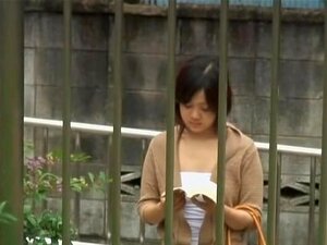 Ne lisez jamais de livre en public avec des mecs shuri requins, cette