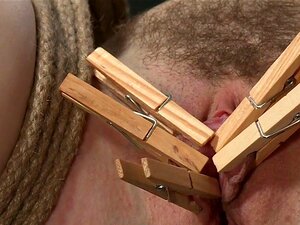 Soumise poilue vibrée pour éjaculer. Attachée en l'air avec les