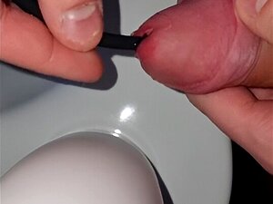 Dilatateur Extreme Long à Insertion complète 420mm-Avec Pince à