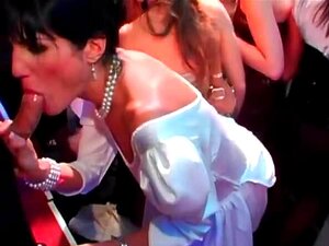 Mariée brune en chaleur mange une grosse bite en public