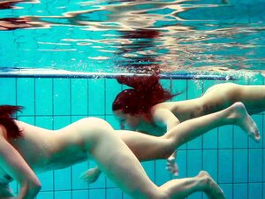 Deux bombes à poil dans la piscine