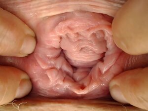 Bizarre Gros Plan Chatte Étirant Les Lèvres du Bouton d'Amour de la