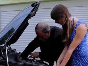 Un vieil arbre entre dans un trou